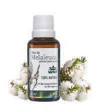 Óleo Essencial de Melaleuca 30ml WNF - Pronto para Pele