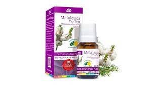 WNF Óleo Essencial Melaleuca (Tea Tree) 10ml
