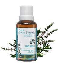 Óleo Essencial de Menta Piperita 30ml WNF - Pronto para Pele