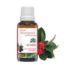 Óleo Essencial de Wintergreen 30ml WNF - Pronto para Pele