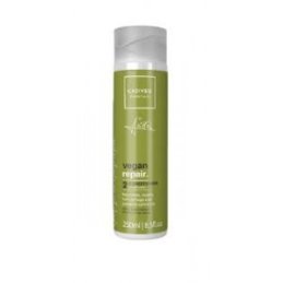 Condicionador Cadiveu Essentials Vegan Repair By Anitta 250ml