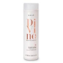 Shampoo profissional Anti-Frizz Braé Divine 250ml