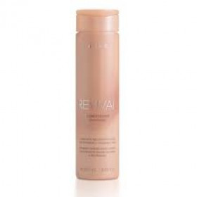 Condicionador profissional Reconstrutor Braé Revival-250ml